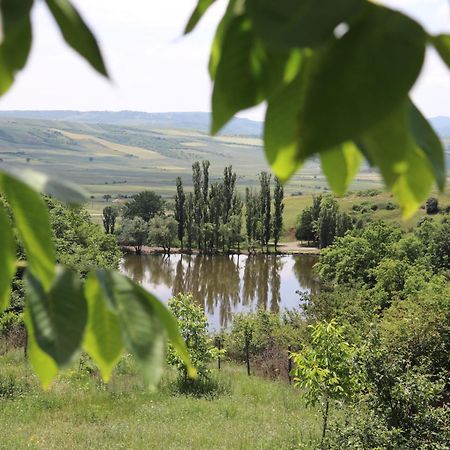Lakeside Garden - Ismayilli Guest House Екстериор снимка